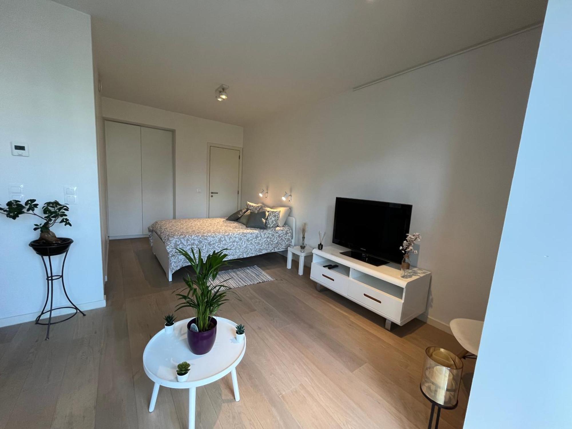 Апартаменты 5Ensational Studio - Center Брюссель Экстерьер фото